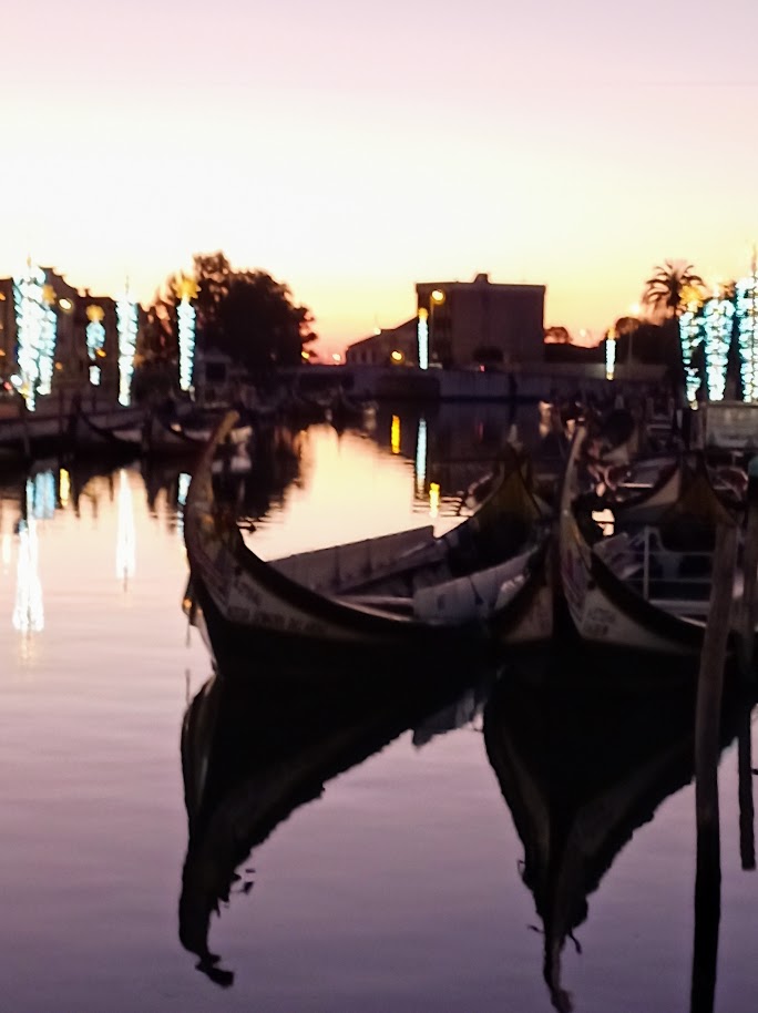 Aveiro, Portugal*